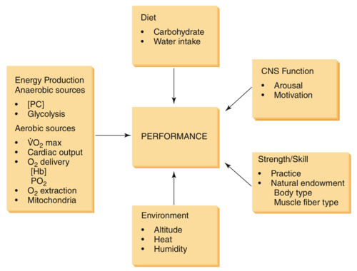 <p>Define Environmental Factors in the context of ergonomics.</p>