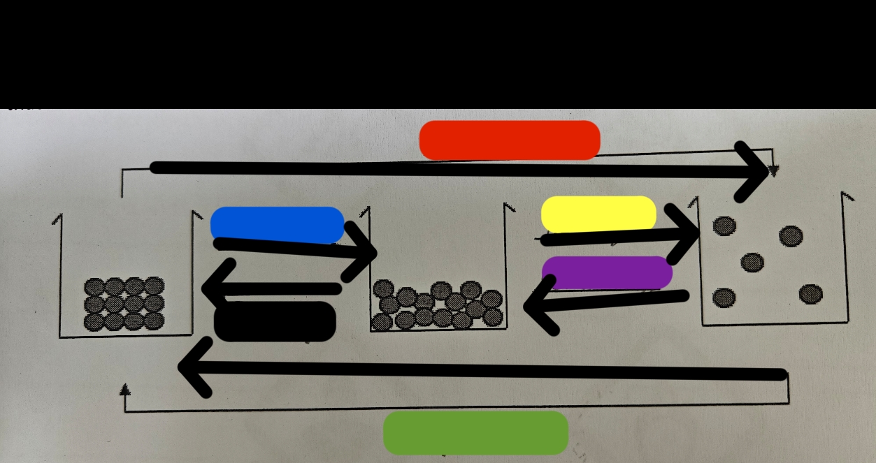 <p>What si the process in red called</p>