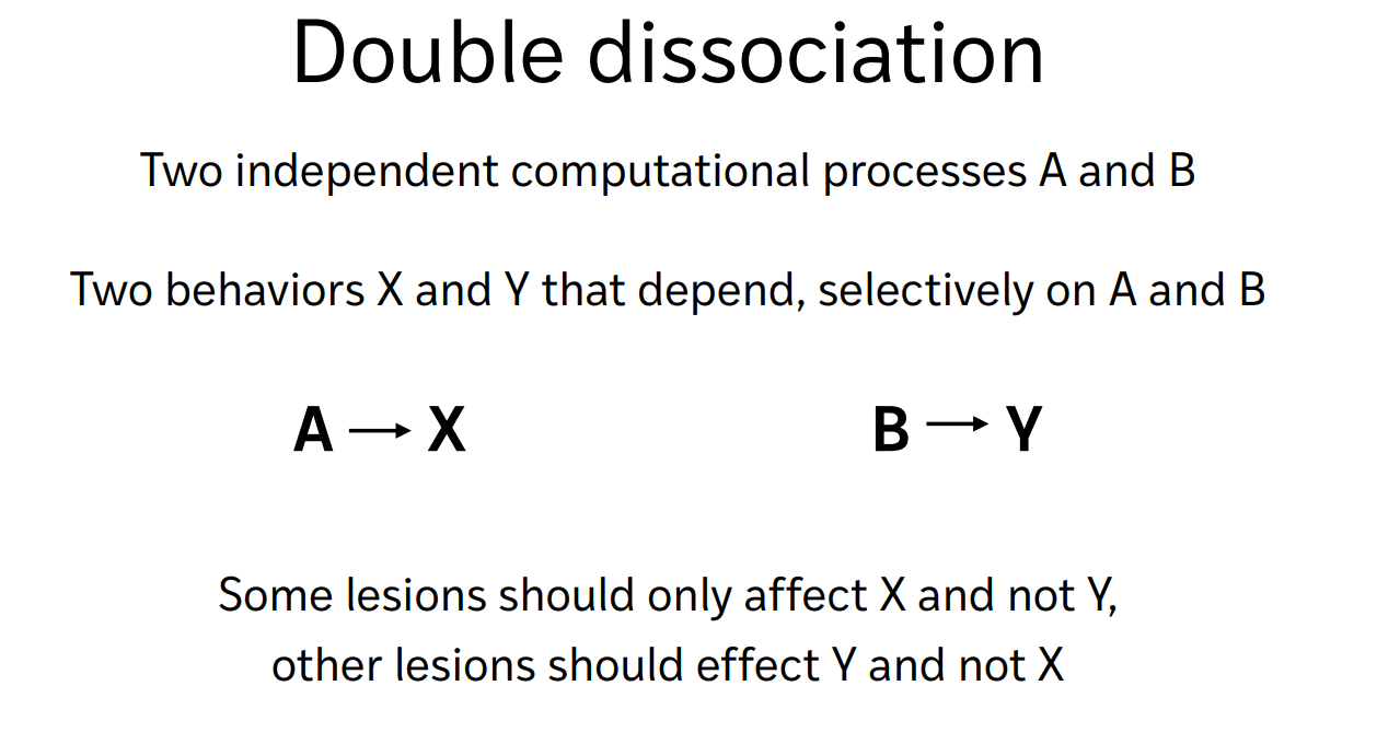 <p>two independent comp processes A and B</p><p>two beahviors X and Y that dpeend selectively on A and B</p><p></p><p>some lesions should only affect X and not Y</p><p>some lesions should only affect Y and not X</p><p></p><p>by showing that it is not differnces in demand (one process doesnt always leave first), <strong>show that must be two independent processes</strong></p>