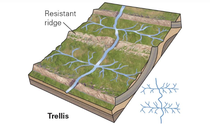 <p>landscape of parallel ridges and valleys</p>