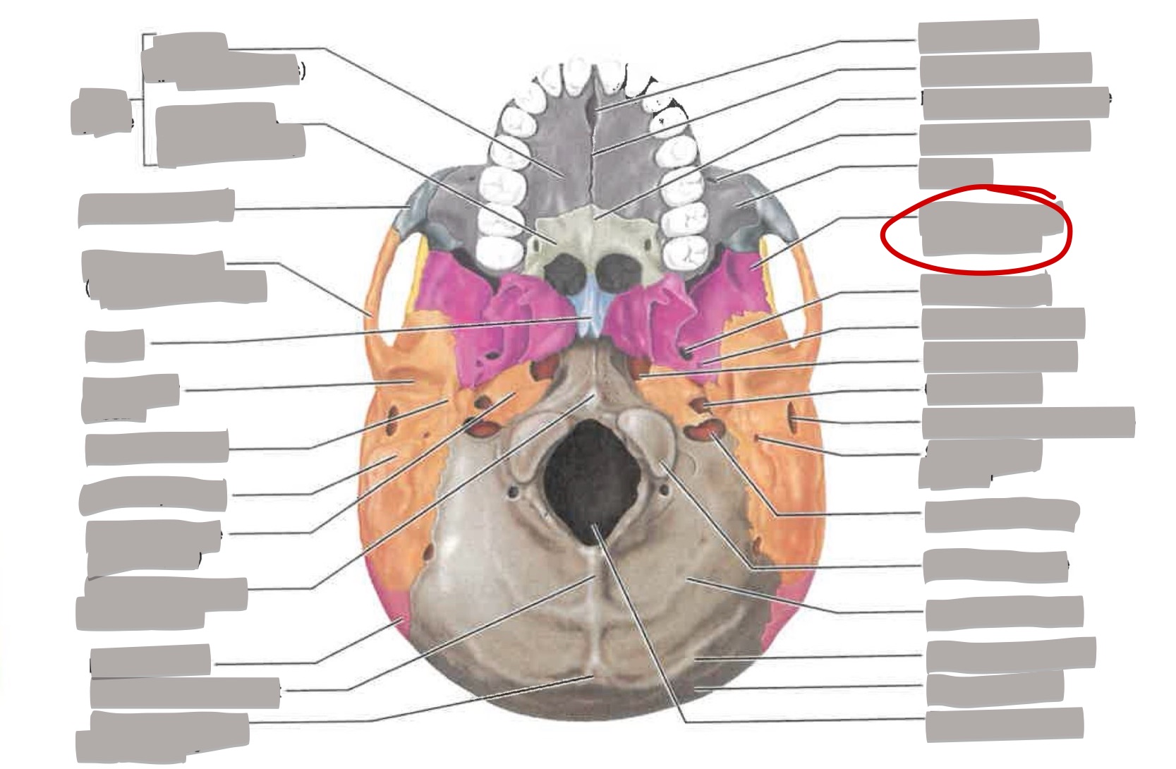 term image