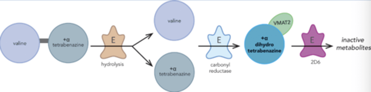 <p>-Prodrug</p><p>-End with an agent that inhibits VMAT2</p><p>-Drug goes inside DA neurons, inhibiting VMAt2 preventing VMAT from breaking down DA vesicles,</p>
