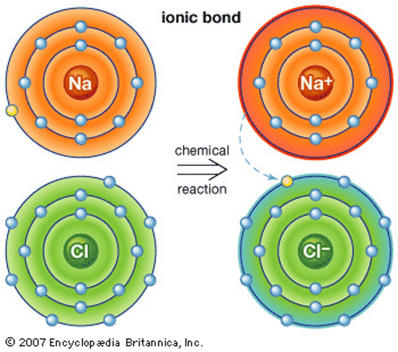 <p>Potassium - loses 1 electron (K+)<br><br>Magnesium - loses 2 electrons (Mg2+)<br><br>Chlorine - gains 1 electron (Cl-)<br><br>Oxygen - gains 2 electrons (O2-)</p>