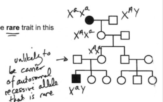 <ul><li><p>X-linked recessive</p></li></ul><p></p>