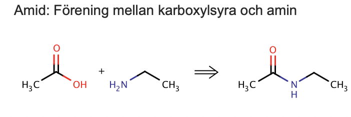 <p><span>Amid: Förening mellan karboxylsyra och amin</span></p>