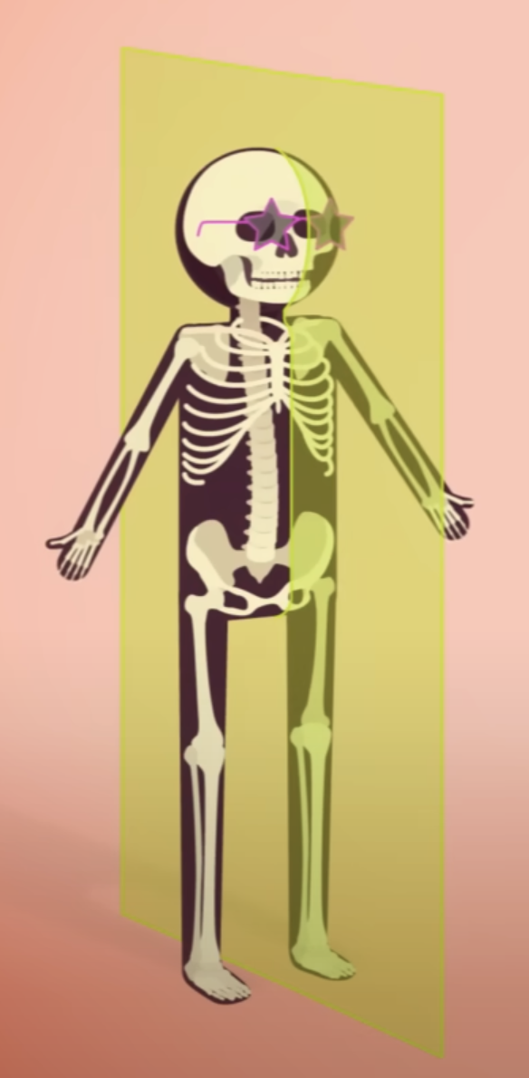 <p>It is also known as the <strong>median plane</strong>. </p><ul><li><p>Vertical plane that divides the body into <strong>equal left and right parts (down the middle) </strong></p></li></ul><p></p>