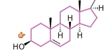 <p>3 six carbon rings and 1 five carbon ring</p><p>Used in membranes, bile salts</p><p>Precursor to vitamin D and steroids</p>