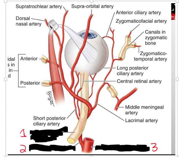 <p>Name the strucure.</p>