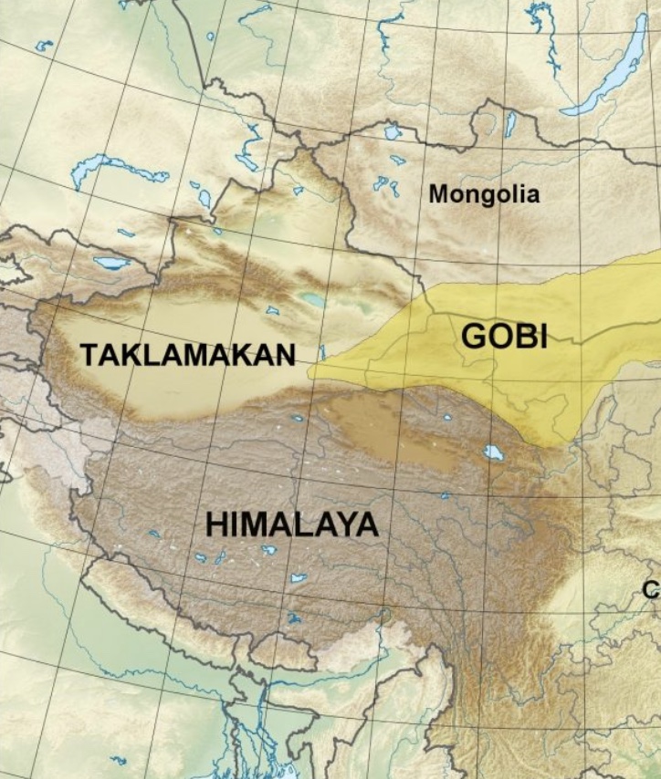term image