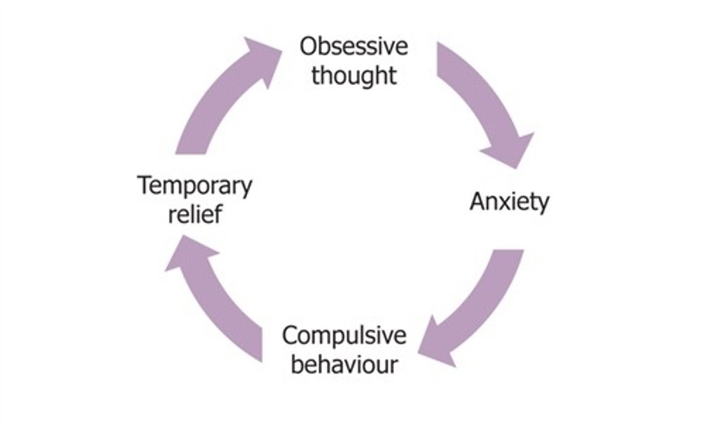 <p>1. thoughts/obsessions</p><p>2. anxiety + distress</p><p>3. compulsions</p><p>4. temporary relief</p>