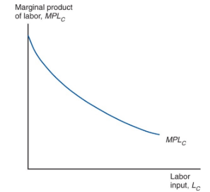 <p>the marginal product of labor in the cloth sector, equal to the slope of the production function shown in the graph, is lower the more labor sector employs</p>