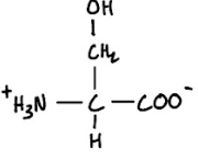 <p>1-Letter Abbreviation</p>