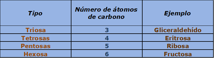 <ul><li><p><strong>Grupo funcional:</strong> Aldosas (aldehído) y cetosas (cetona)</p></li><li><p><strong>Número de átomos de carbono</strong></p></li></ul>