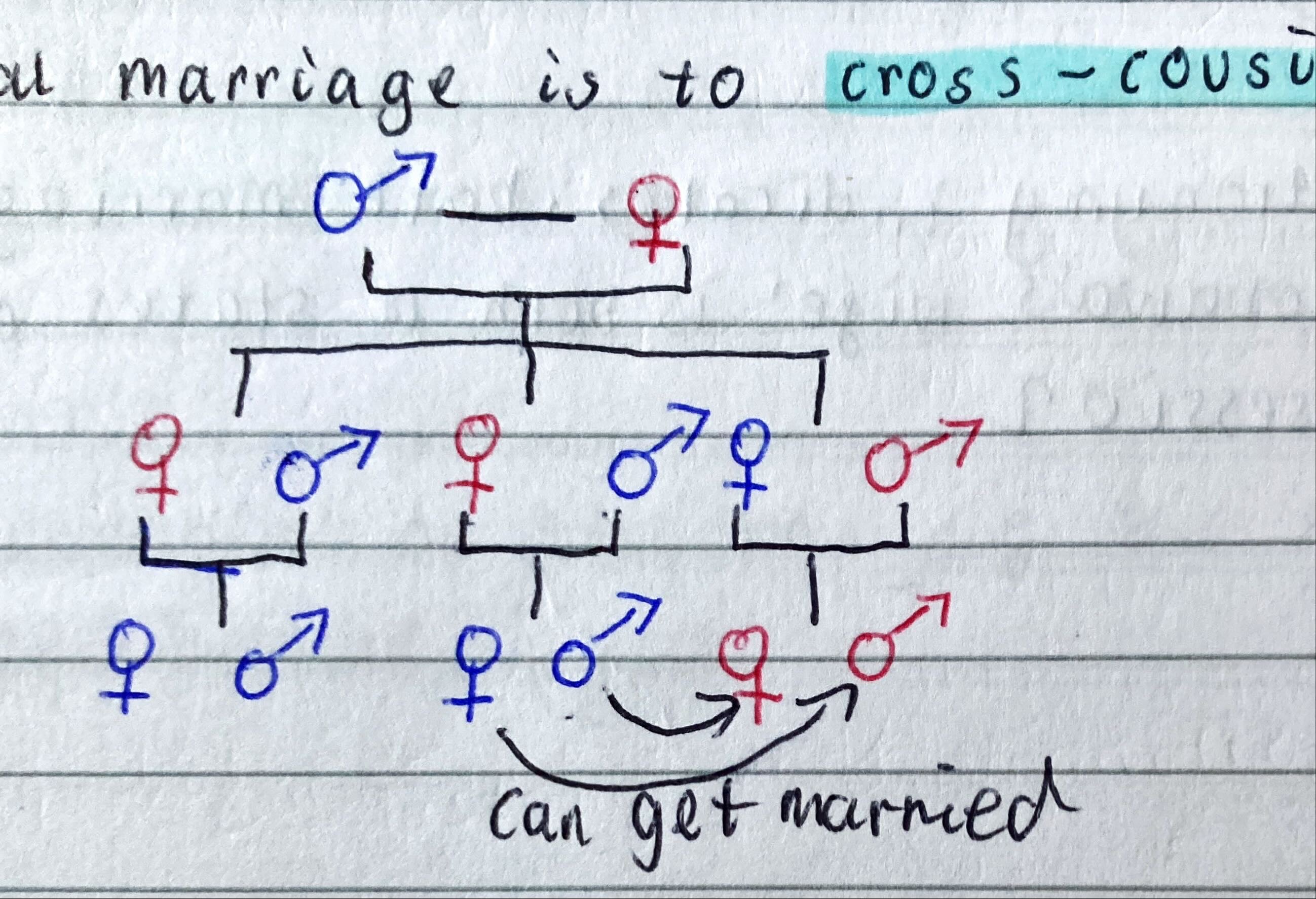 <p>-due to the existence of moieties and patrilineal exogamy, there is a pressure to marry outside of your close kin</p><p>-however, the benefit of having a tightly knit shabono means there is pressure to marry someone who has become your kin</p><p>**the ideal marriage is cross cousin marriage</p>