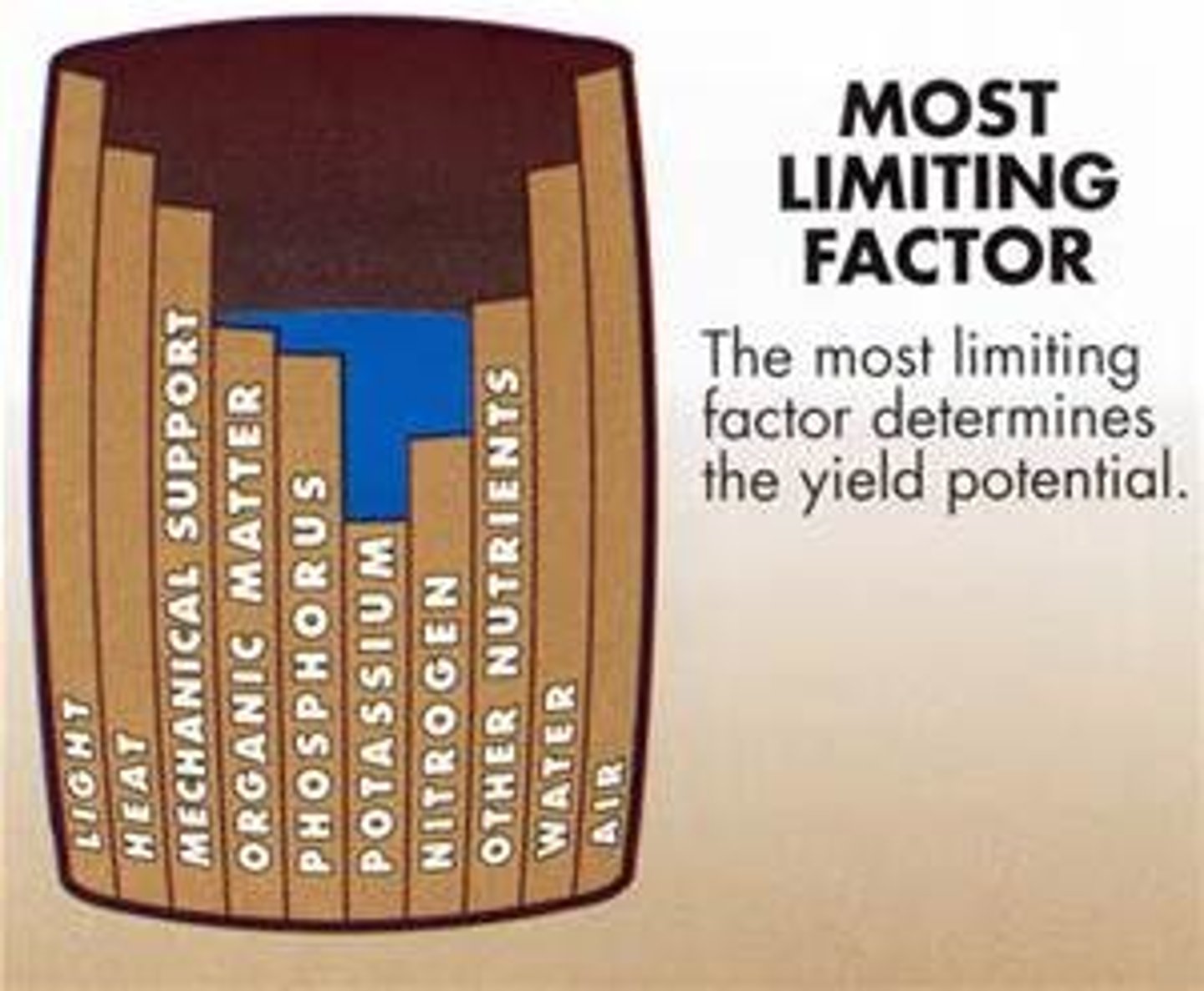 <p>a nutrient required for the growth of an organism but available in a lower quantity than other nutrients</p>