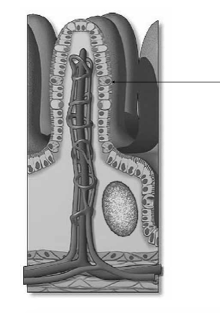 <p>what is this?</p>