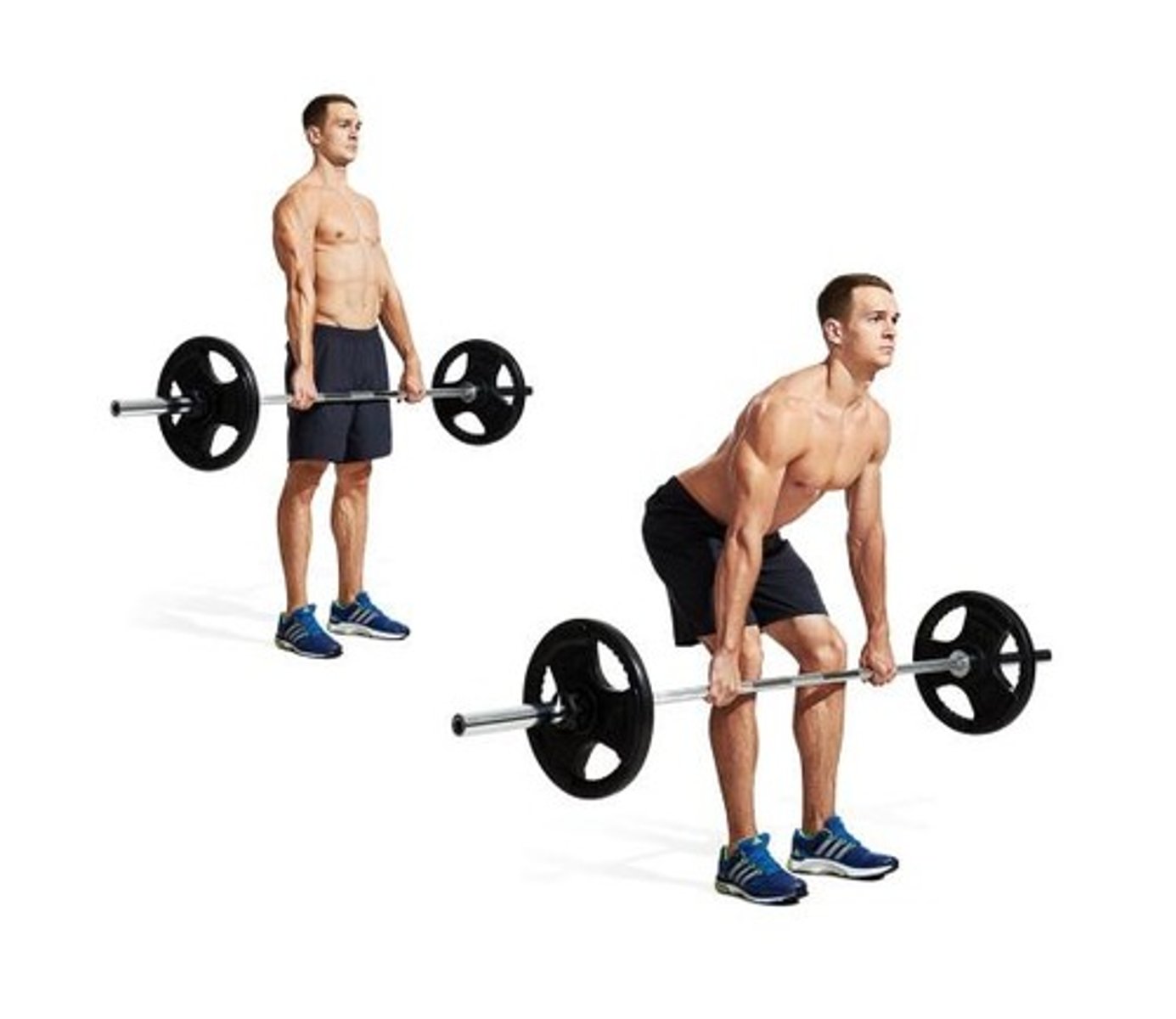 <p>Hamstrings </p>