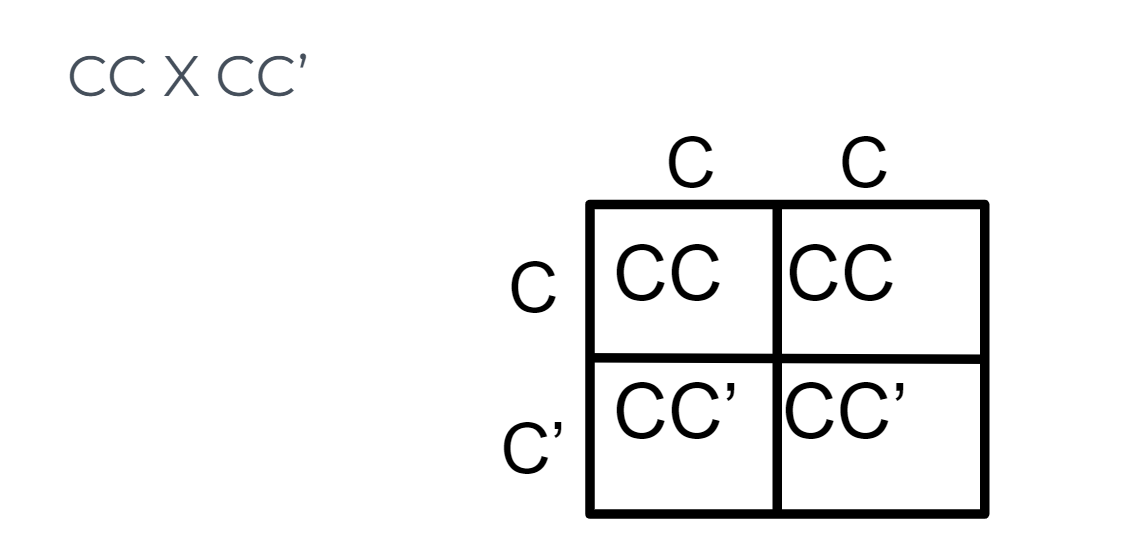 <p>A capital letter represents one of the two incompletely dominant alleles.  The same capital letter, represents the other incompletely dominant allele</p>