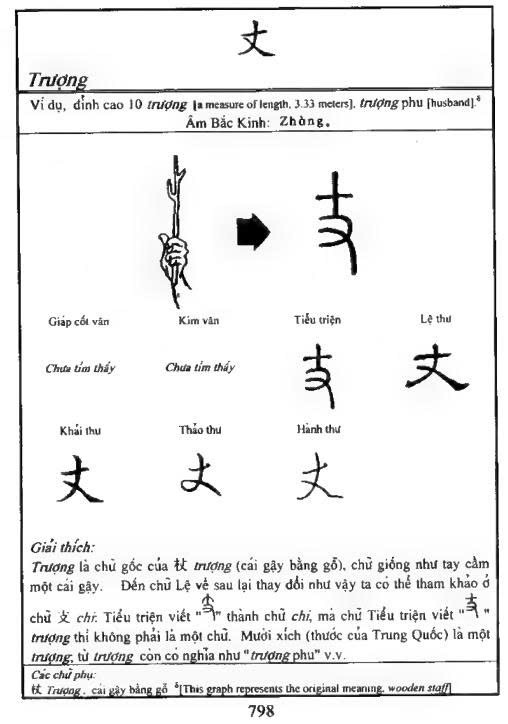 <p>丈夫</p>