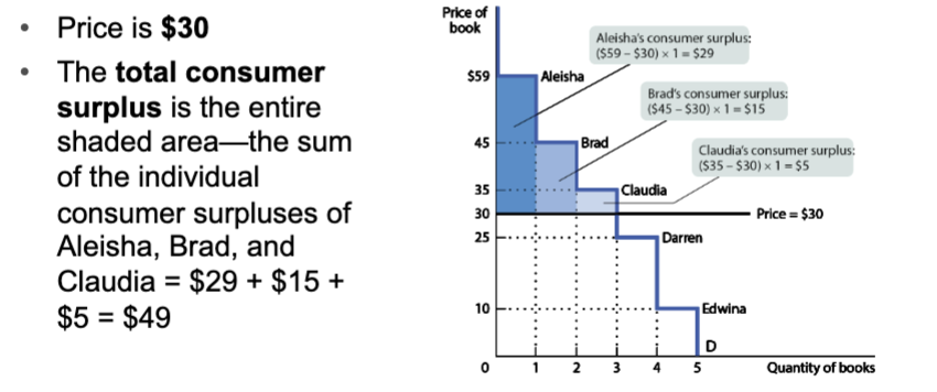 <p>The sum of individual consumer surpluses of all the buyers in a market&nbsp;</p>