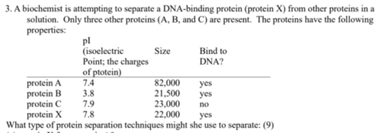 <p>ion-exchange chromatography or isoelectric focusing to separate on the basis of charge;</p>