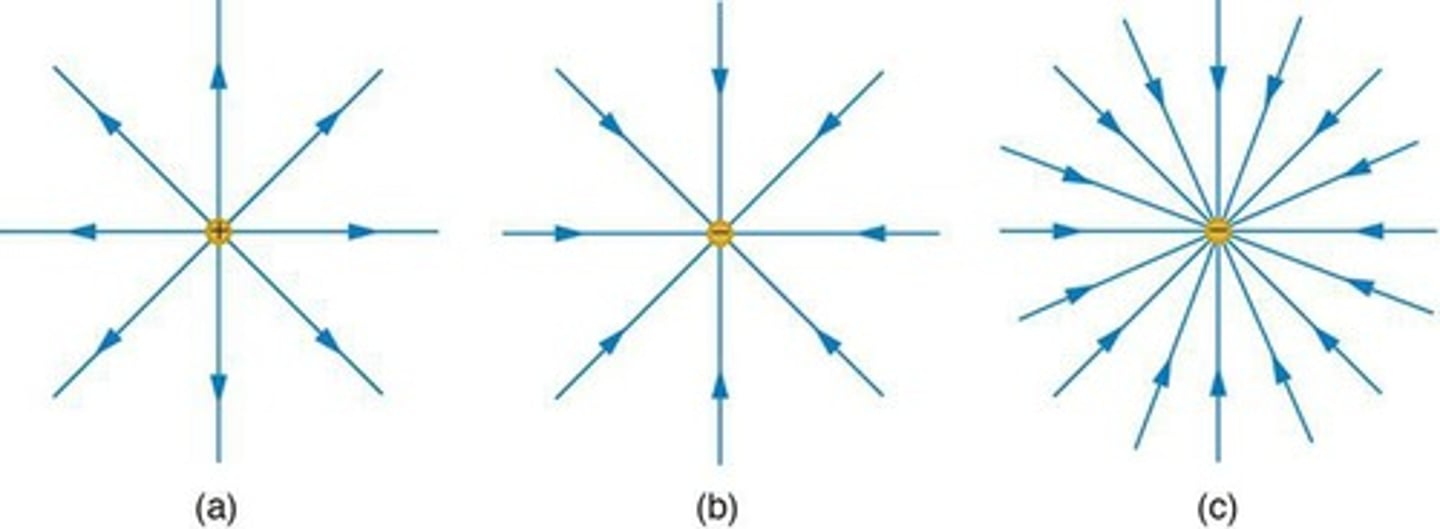 <p>The direction and strength of the electric field; they begin on positive charges and terminate on negative charges.</p>