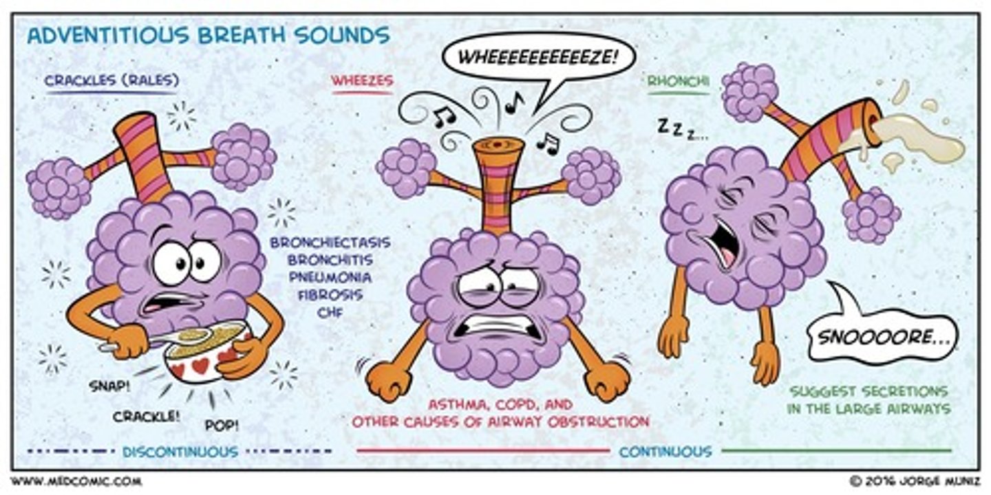 <p>airway obstruction</p><p>i.e. asthma, COPD, foreign body</p>