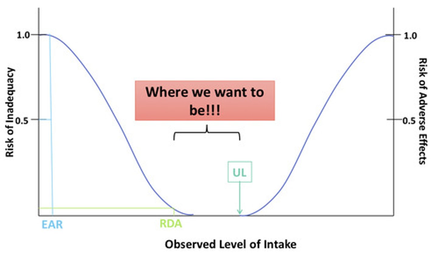 <p>Between the RDA and UL</p>