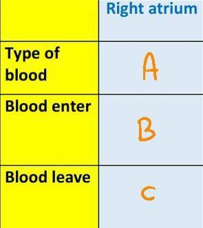 <p>Answer the following questions</p>