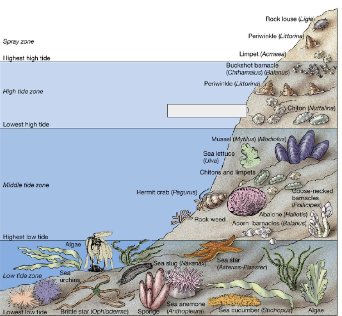 <p><strong>What organism? </strong></p>