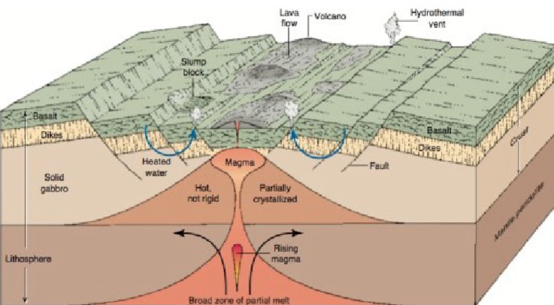 <ul><li><p><span>two tectonic plates move apart, allowing magma to rise from the Earth's mantle and form new oceanic crust</span></p></li><li><p><span>could be considered largest volcano on the planet</span></p></li></ul><p></p>