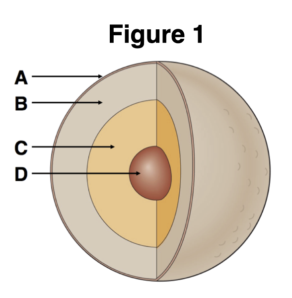 <p>The layers of Earth identified in the figure are sorted by what property?</p>