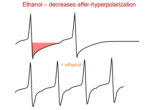 <p>Dopamine neurons <strong>fire more frequently</strong>, increasing dopamine release.</p>