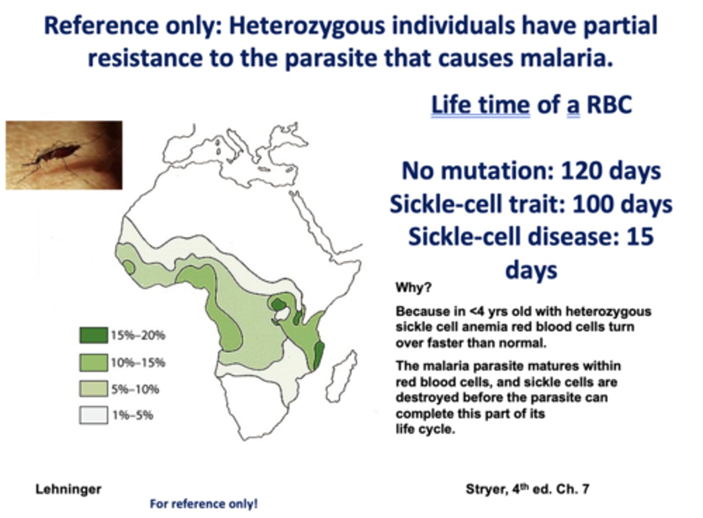 <p>malaria</p>