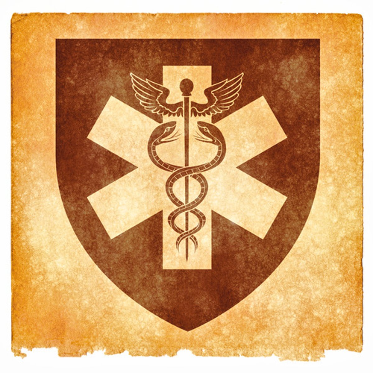 <p>medical</p>