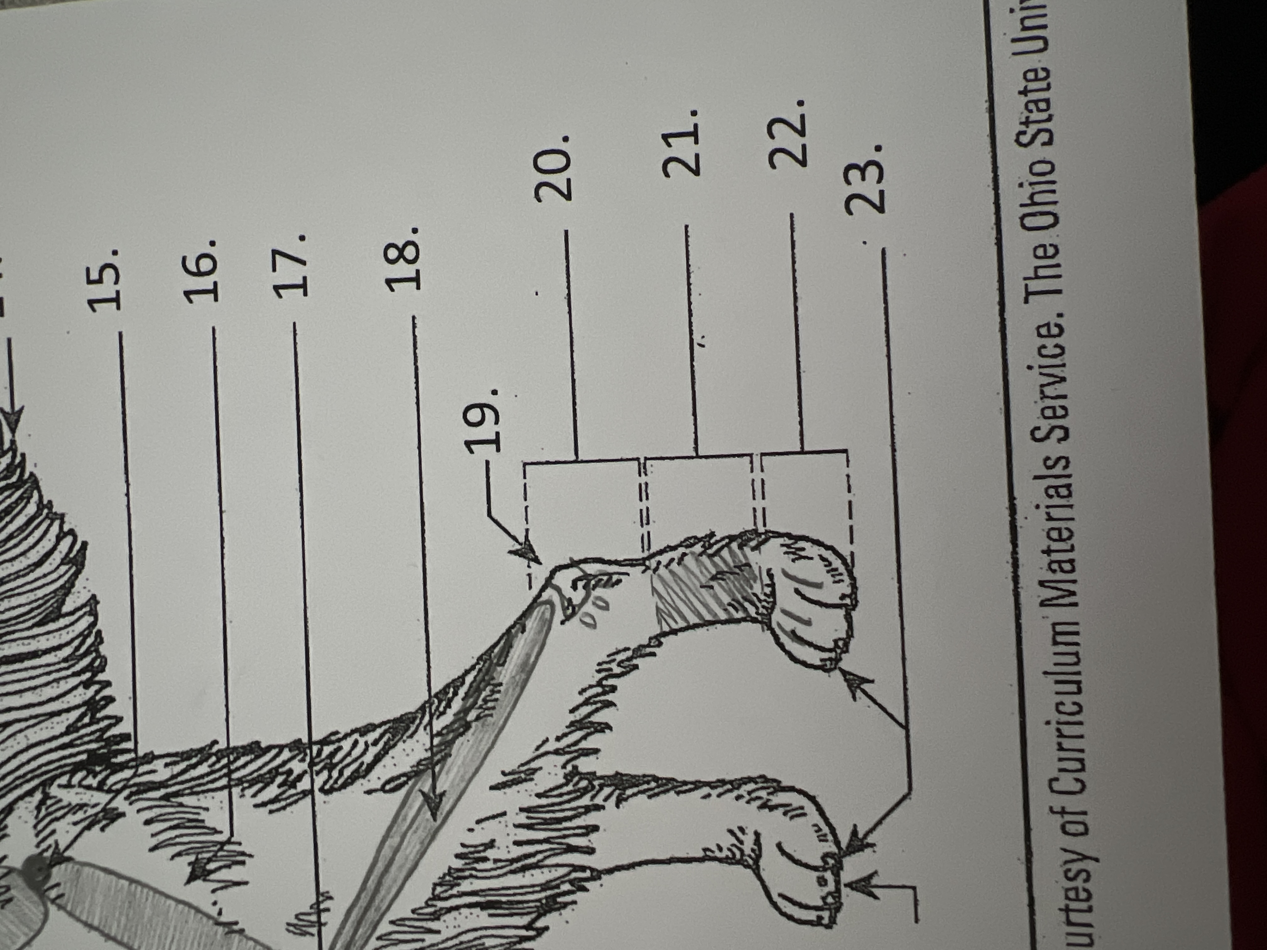 
21. \
