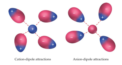 <p>Ion-dipole</p>
