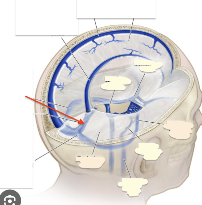 <p>what is this?</p>