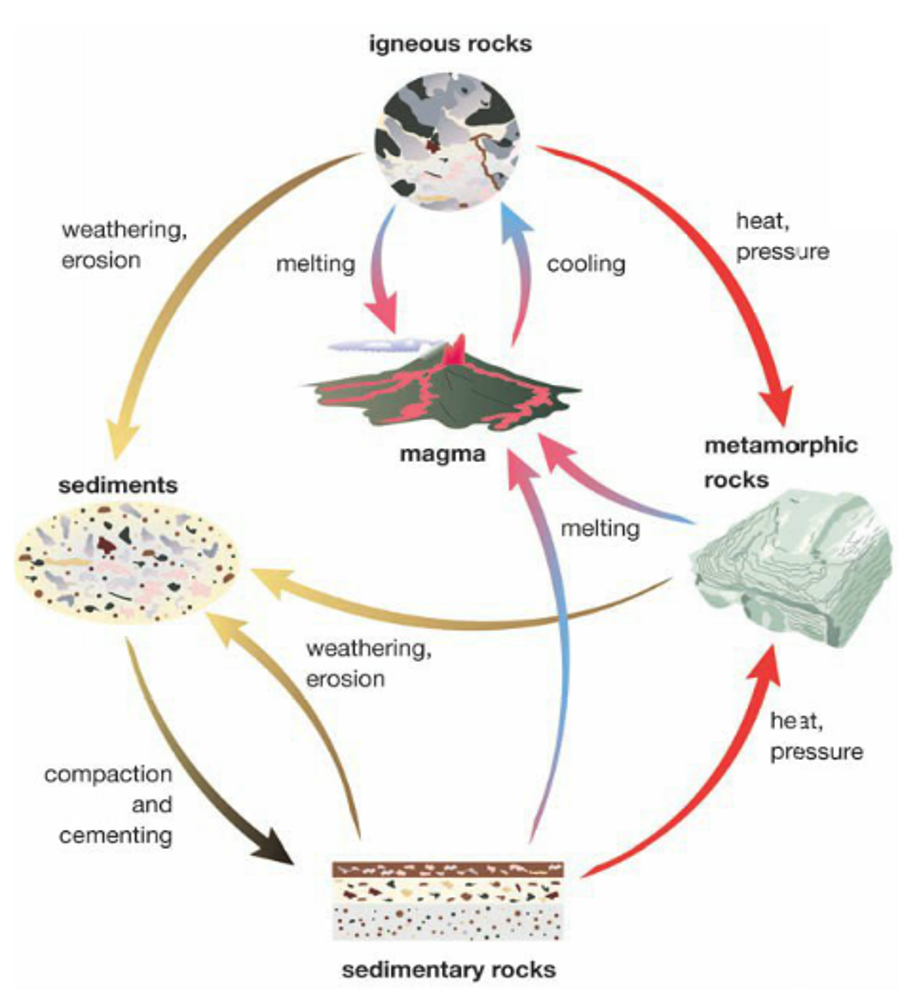 <p>The rock cycle is a model that describes and explains the endless cycle of change that rocks undergo</p>