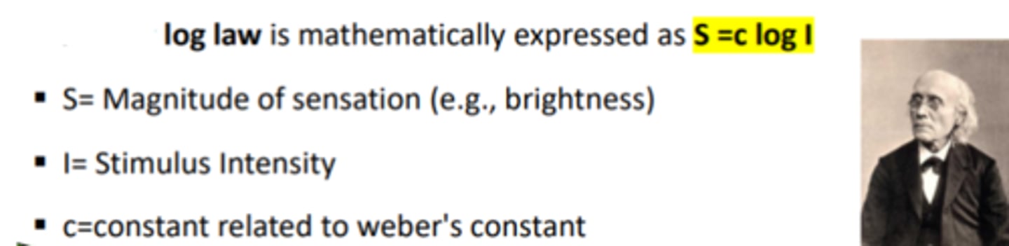<p>law describing the log relationship between intensity and sensation. Ie) if a light were to increase by 5 JNDs it would appear 5 units brighter. Assumes that all JNDs produce an equal difference in the magnitude of sensation. This was disproven by the Steven's method.</p>