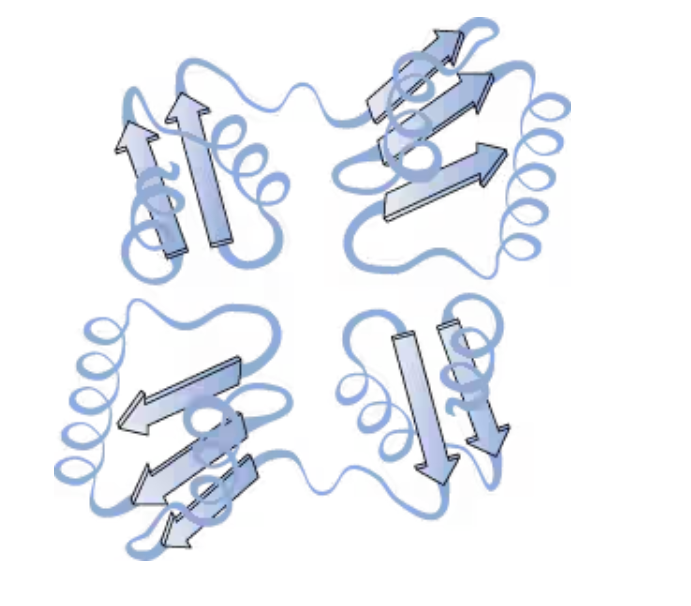 <p>Two or more protein chains assembled in a larger three-dimensional structure held together by noncovalent interactions</p>