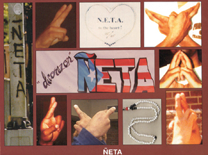 <p>Neta Identifiers/Symbols </p>