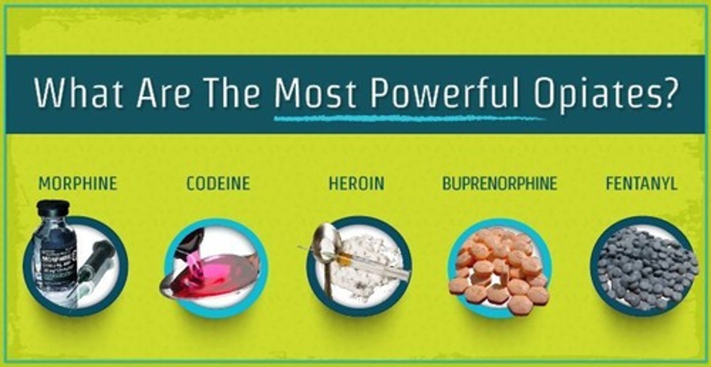 <p>(D) Opiates/Opioids</p><p>Opiates/Opioids are known to decrease Central Nervous System function, decrease Heart Rate and Blood Pressure, cause relaxation and also act as an analgesic, reducing the perception of pain.</p><p>Ex: Morphine, heroine, codine</p>