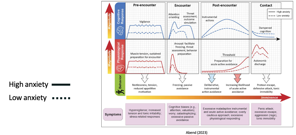 <ul><li><p><span><span>those with high levels of anxiety are more cognitively aroused in general and when they meet the threat</span></span></p></li><li><p><span><span>takes them longer to calm down from the threat</span></span></p><ul><li><p><span><span>response to threat in those with anxiety disorders is more intense and takes them longer to recover than those with lower anxiety</span></span></p></li></ul></li></ul><p></p>