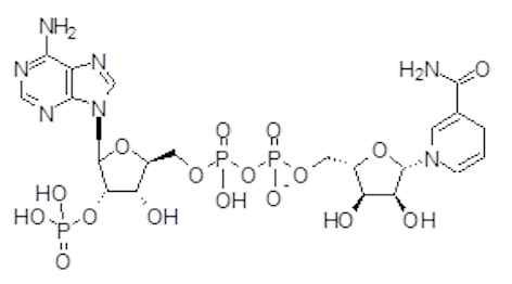 <p>Name that structure.</p>