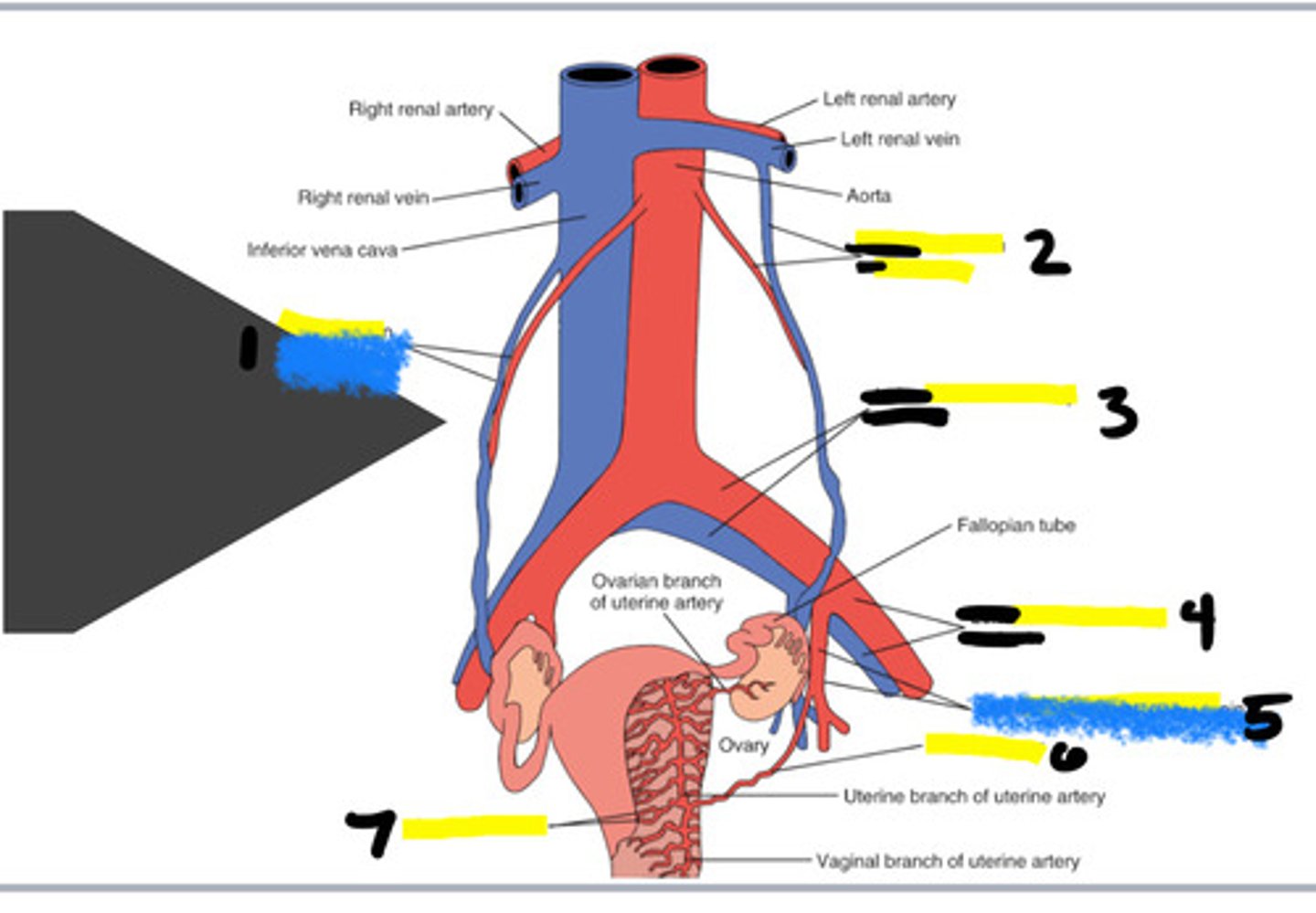<p>6</p>