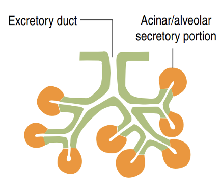 <p>Identify!</p>