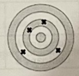 <p>This target shows a shot pattern that is:</p>