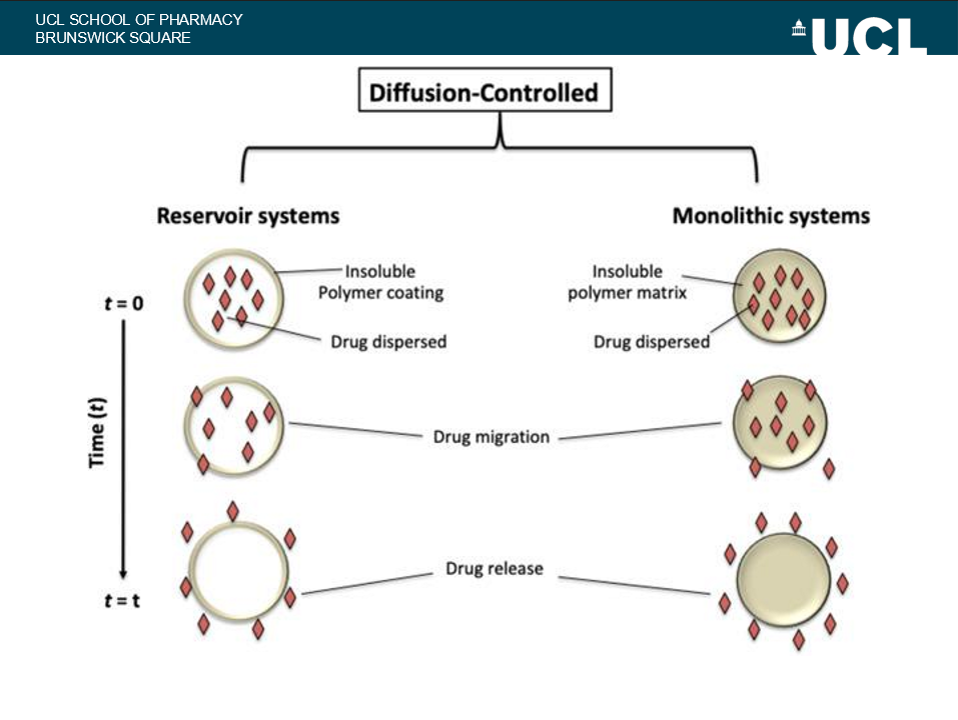 <p>describe diffusion controlled mechanism </p>