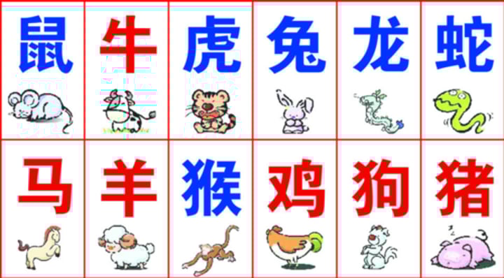 <p>In China, everyone likes to ask: What do you belong to? Once you know what animal you are, you can figure out how old you are. These different animals are called zodiac signs. There are twelve animals in the Chinese zodiac: Rat, Ox, Tiger, Rabbit, Dragon, Snake, Horse and Goat, Monkey, Chicken, Dog and Pig. Repeat every twelve years. Speaking of the zodiac, there is also a story about the zodiac in China. The gods in the sky want to hold a river crossing competition. The twelve animals that arrive first can be the zodiac signs and used to calculate the age. When crossing the river, the animals keep swimming, and the ox swims the fastest, but when it reaches the end, the mouse jumps off the ox and reaches the end first, so the mouse is the first in the zodiac. . The zodiac can help people calculate the age and age. For example, my mother is a sheep, my father is a horse, and my father is one year older than my mother. Both my sister and my mother belong to the year of the sheep. My mother is two twelve years older than my sister, that is, twenty-four years older.</p>